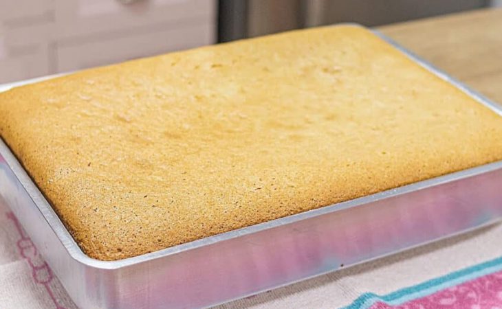 Bolo Tamanho Família Fofinho e Delicioso