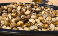 Receita de Caracóis Que fica uma Maravilha